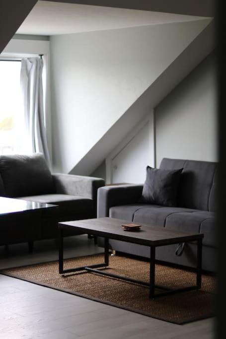 Unique Modern Luxury 2 Bedroom Apartment Rental Chapleau Buitenkant foto